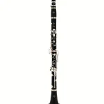 Test et Avis : Buffet Crampon Prodige Bb-Clarinet 17/6