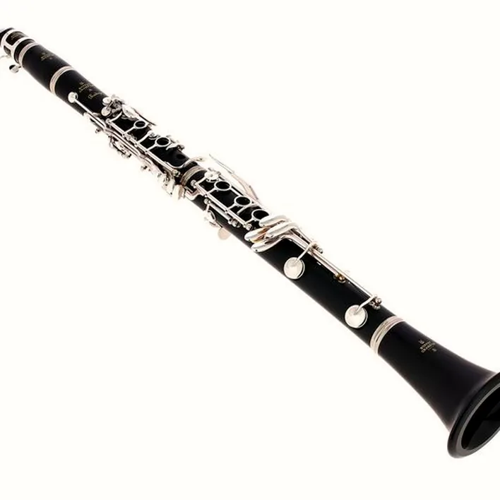 Test et Avis : Buffet Crampon Prodige Bb-Clarinet 17/6