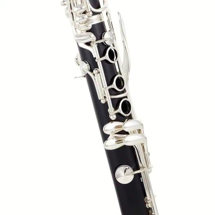 Clarinette Buffet Crampon RC Bb-Clarinet 17/6 / Avis, Test