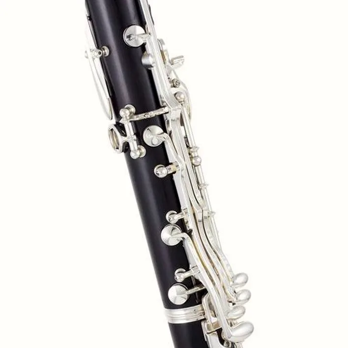 Clarinette Buffet Crampon RC Bb-Clarinet 17/6 / Avis, Test