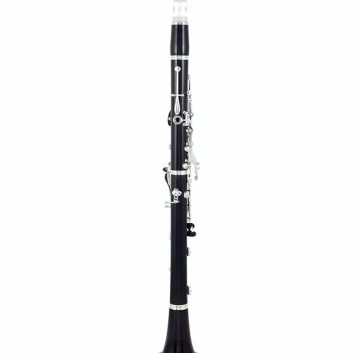 Clarinette Buffet Crampon RC Bb-Clarinet 17/6 / Avis, Test