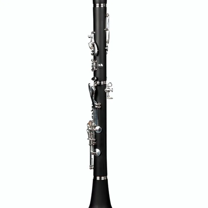 Test et Avis clarinette RZ Clarinets C-Clarinet Student 17/6