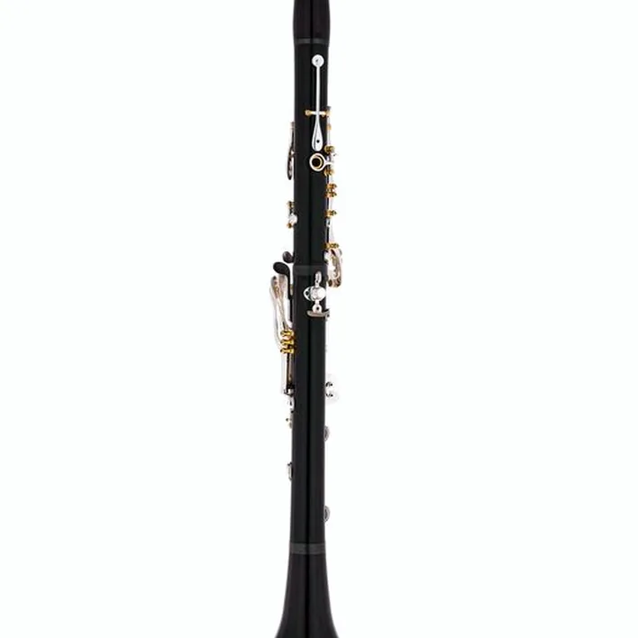 La clarinette RZ Clarinets Capriccio Bb-Clarinet 18/6 Avis & Test