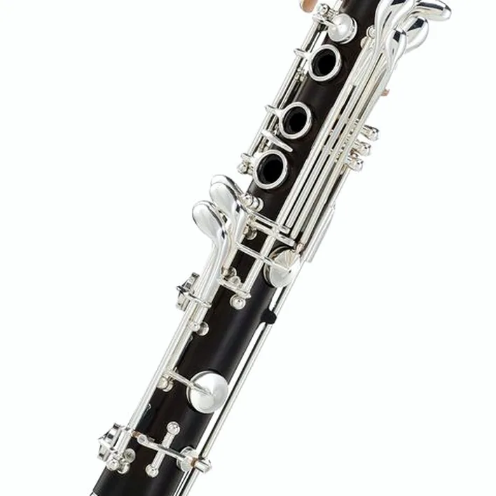 La clarinette Selmer Muse 19/6 Bb Clarinet : Avis, Test & Comparatif