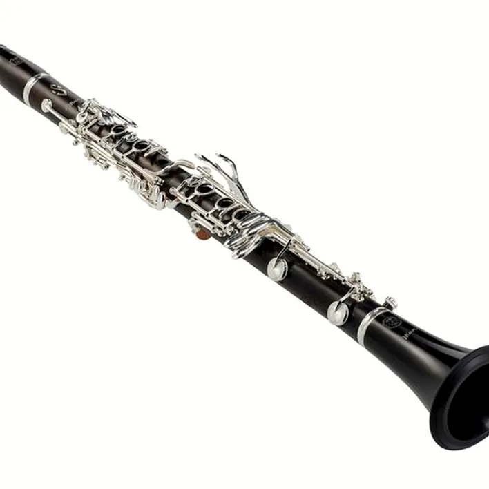 La clarinette Selmer Muse 19/6 Bb Clarinet : Avis, Test & Comparatif