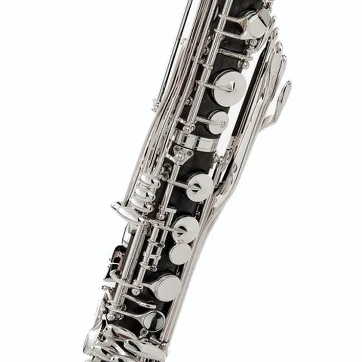 Clarinette Thomann BCL-C Bass Clarinet Synthetic Avis & Test