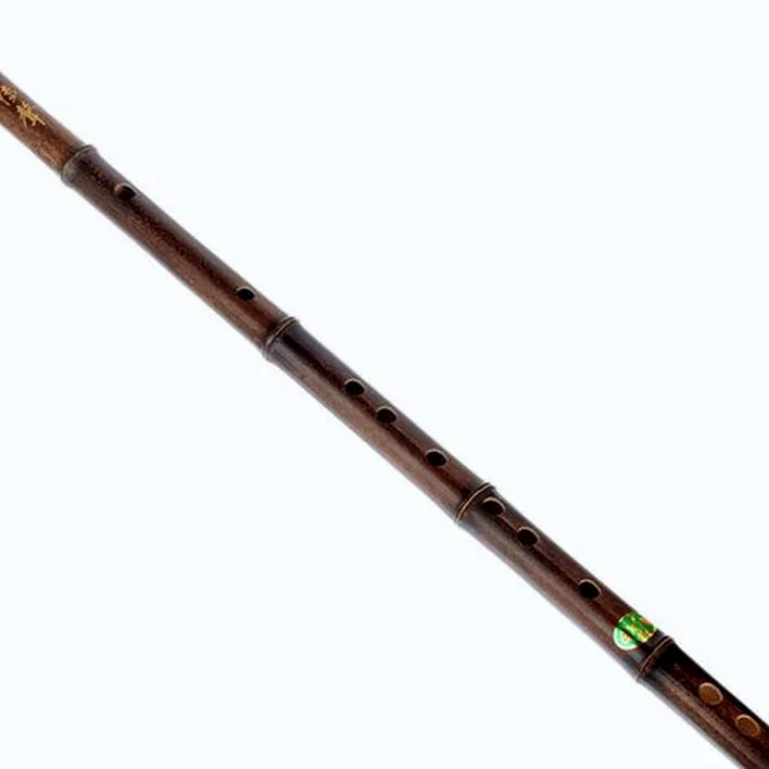 La flûte Artino Chinese QuDi Flute D-major / Comparatif, Avis, Test
