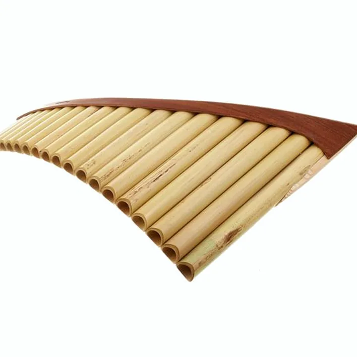 La flûte de pan Plaschke S20 G Pan Flute / Avis, Test et Comparatif