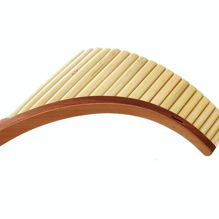La flûte de pan Plaschke S20 G Pan Flute / Avis, Test et Comparatif