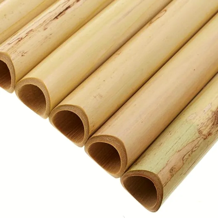 La flûte de pan Plaschke S20 G Pan Flute / Avis, Test et Comparatif