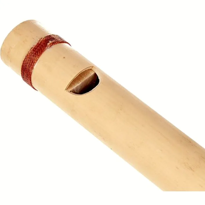 La flûte Thomann Rhythm flute E / Test, Avis et Comparatif