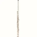 Flûte traversière Altus AS-1407 XRBE Flute Test, Comparatif & Avis