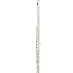 Flûte traversière Altus AS-A10 EO-S Flute Avis, Comparatif et Test
