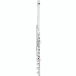 Avis & Test : Altus AS-A10 RBEO-S Flute