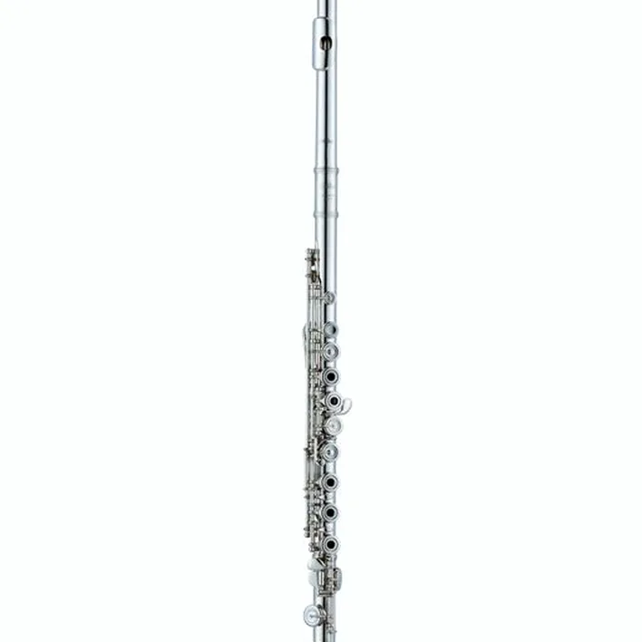 La flûte traversière Altus AS-A13 REO-S Flute / Avis, Test