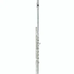 Test et Avis de la flûte traversière Azumi AZ-S2 RBI Flute