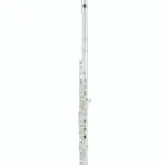 Test et Avis : Azumi AZ-S2 RE Flute