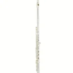 Test & Avis de la flûte traversière Azumi AZ-S3 RE Flute
