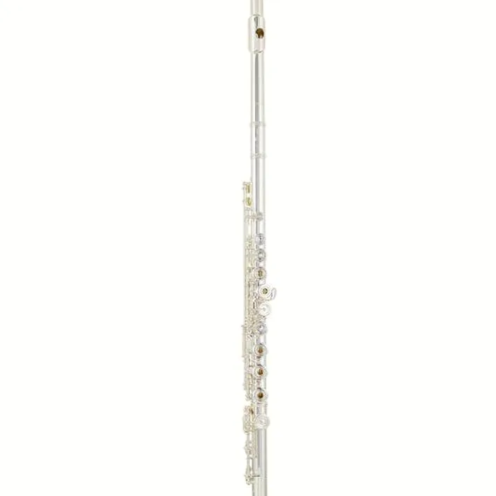 Test & Avis de la flûte traversière Azumi AZ-S3 RE Flute