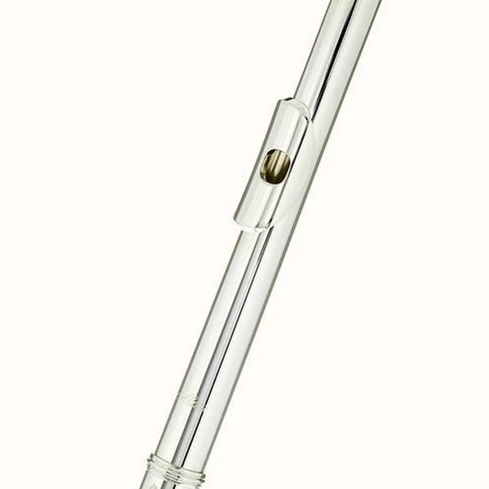 La flûte traversière Azumi AZ-Z1 RE Flute / Avis, Comparatif et Test