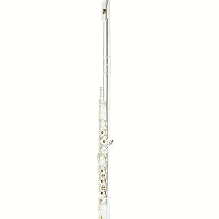 La flûte traversière Azumi AZ-Z1 RE Flute / Avis, Comparatif et Test