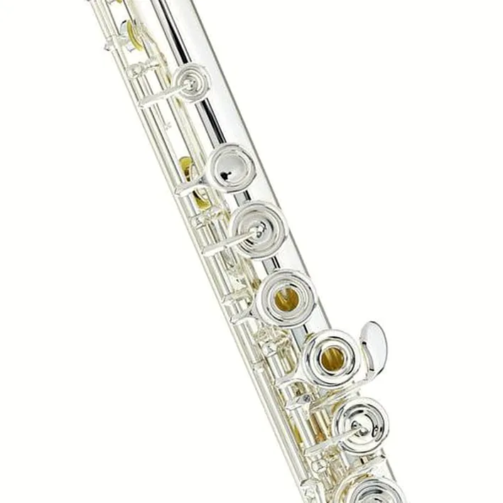 La flûte traversière Azumi AZ-Z1 RE Flute / Avis, Comparatif et Test