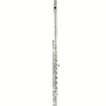 Avis & Test : Azumi AZ-Z2 RI Flute