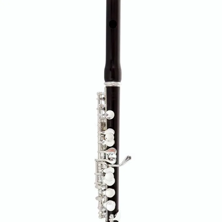 Flûte traversière Jupiter JPC1100E Piccolo Flute , Test, Comparatif et Avis