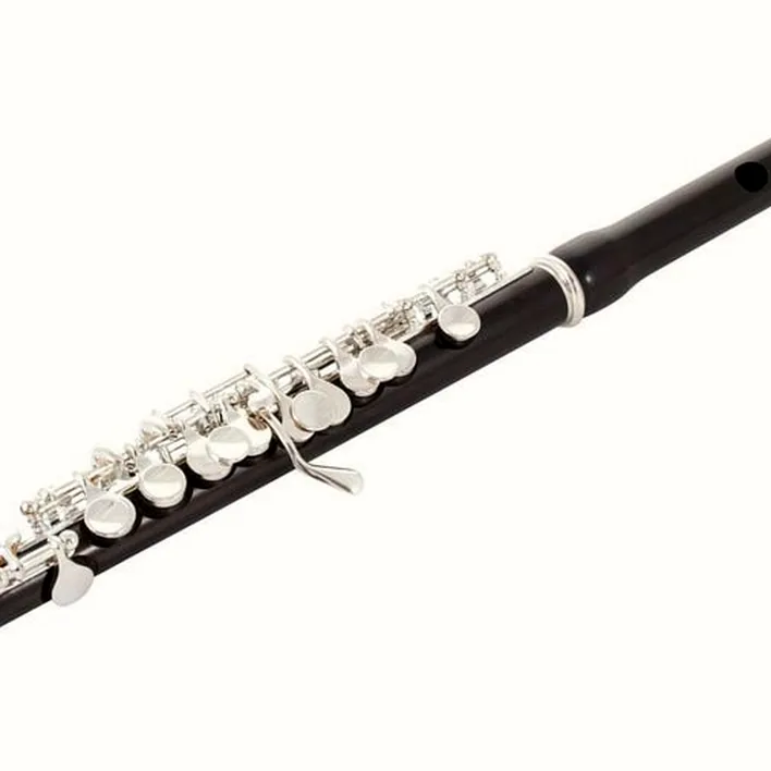 Flûte traversière Jupiter JPC1100E Piccolo Flute , Test, Comparatif et Avis