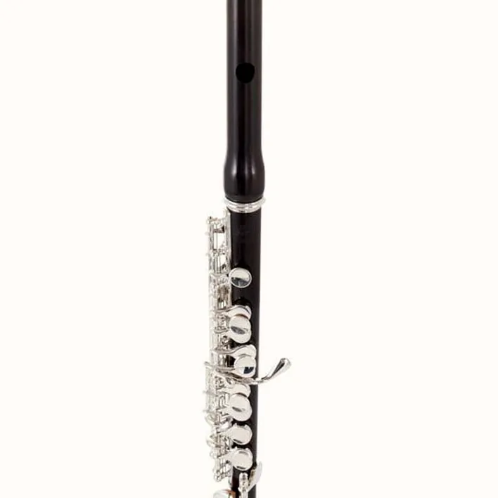 Flûte traversière Jupiter JPC1100E Piccolo Flute , Test, Comparatif et Avis