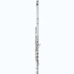 Avis, Test de la flûte traversière Pearl Flutes Elegante Primo PF-EP925 RE