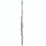 Test et Avis : Pearl Flutes MD997 RBE Maesta Handmade