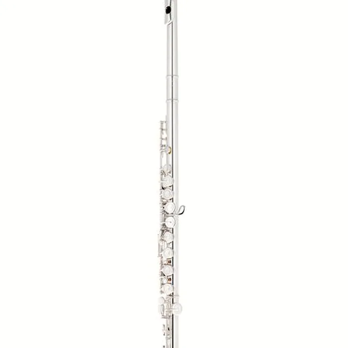 Avis et Test de la flûte traversière Sankyo CF 201 Flute