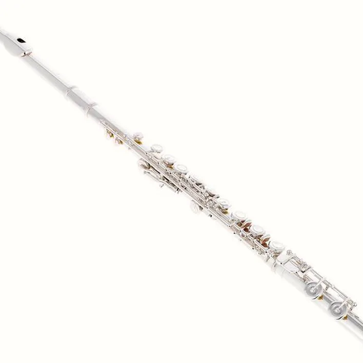 Avis et Test de la flûte traversière Sankyo CF 201 Flute