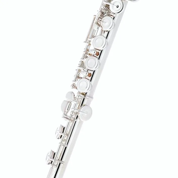 Avis et Test de la flûte traversière Sankyo CF 201 Flute