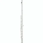 La flûte traversière Thomann FL-2000 E Flute Avis, Test et Comparatif