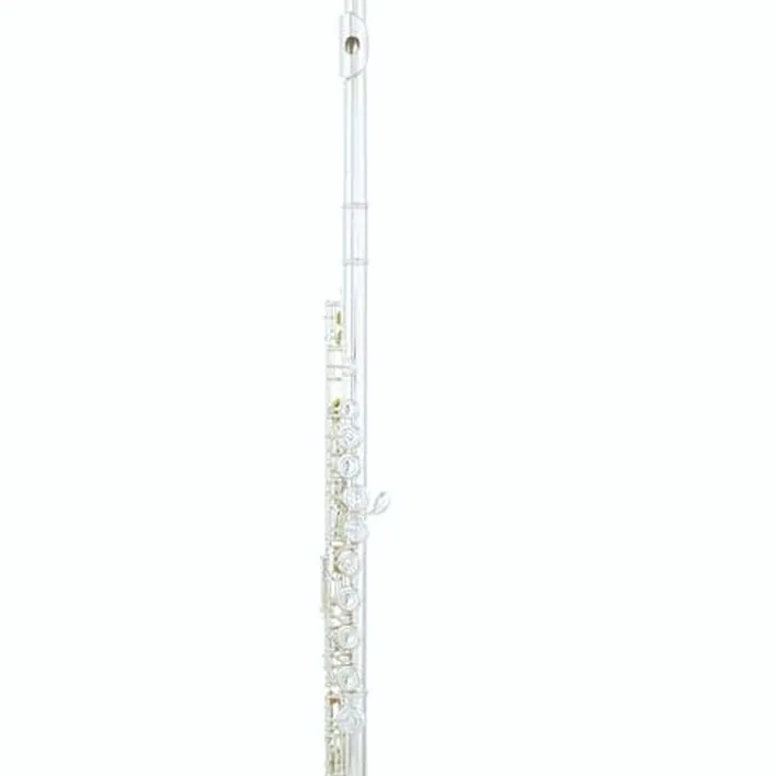 La flûte traversière Yamaha YFL-312 Flute Set / Test, Avis, Comparatif