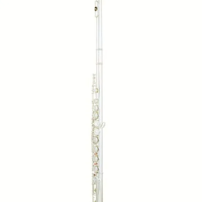 La flûte traversière Yamaha YFL-312 Flute Set / Test, Avis, Comparatif