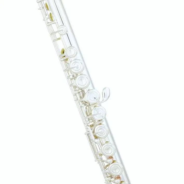 La flûte traversière Yamaha YFL-312 Flute Set / Test, Avis, Comparatif