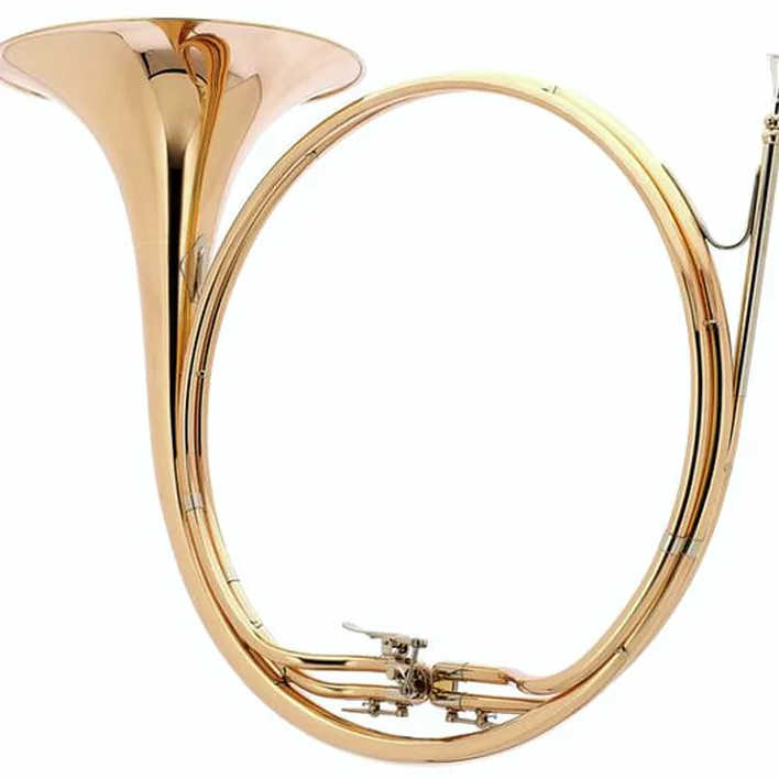 La trompe de chasse Dotzauer Parforce Horn Bb/Eb 18270 , Comparatif, Test & Avis