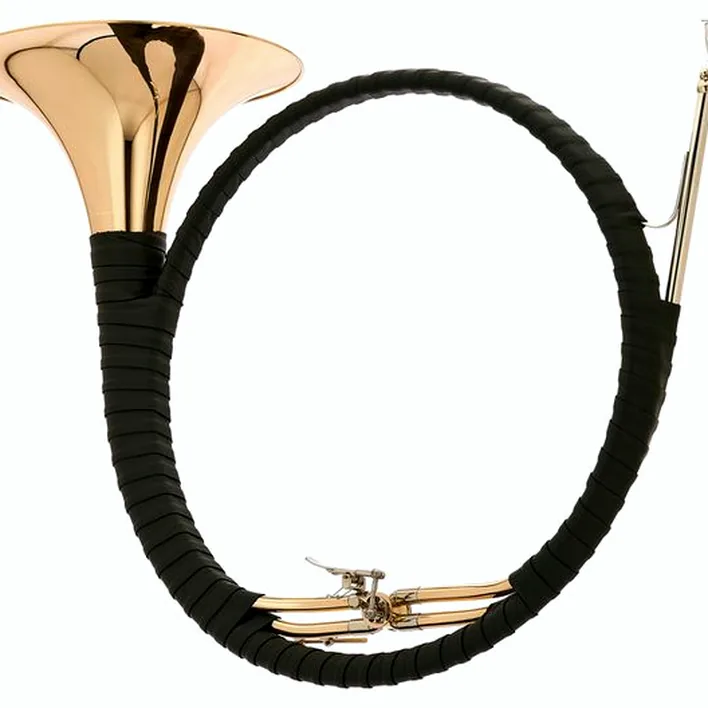 La trompe de chasse Dotzauer Parforce Horn Eb/Bb 18265 Avis, Test et Comparatif