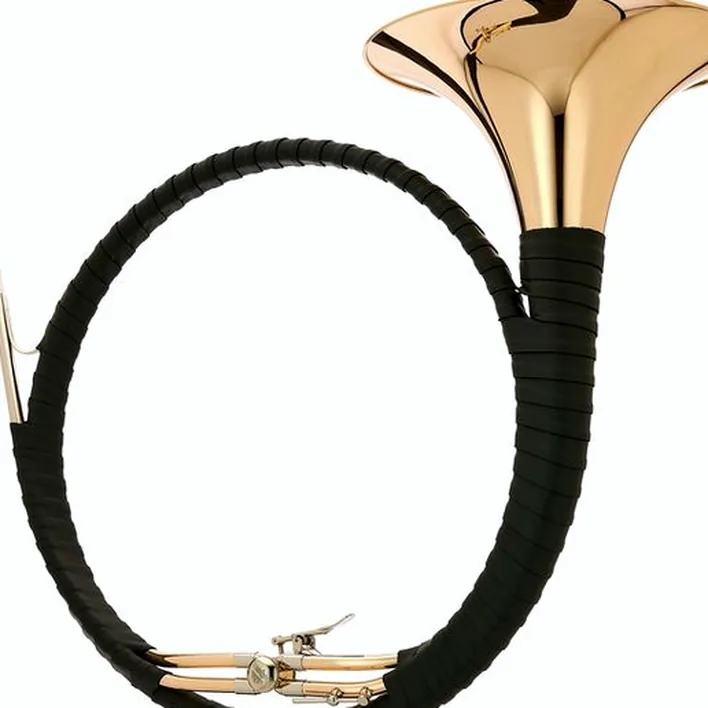 La trompe de chasse Dotzauer Parforce Horn Eb/Bb 18265 Avis, Test et Comparatif