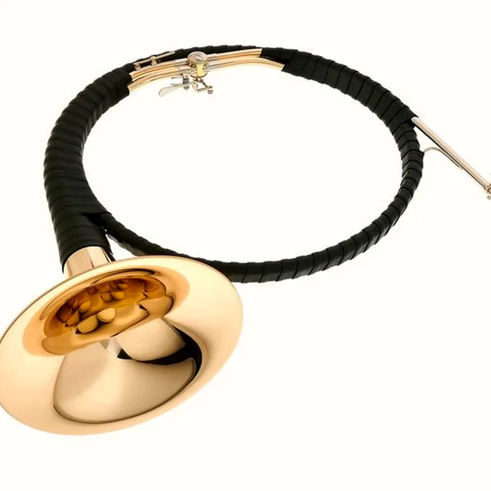 La trompe de chasse Dotzauer Parforce Horn Eb/Bb 18265 Avis, Test et Comparatif