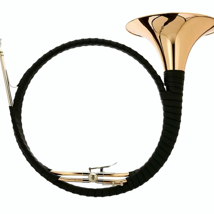 La trompe de chasse Dotzauer Parforce Horn Eb/Bb 18265 Avis, Test et Comparatif