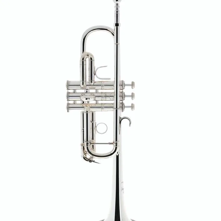 La trompette Bach C190SL229F C-Trumpet / Comparatif, Test, Avis