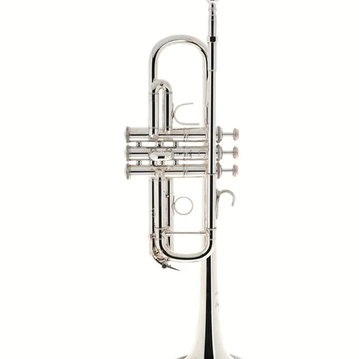 La trompette Bach C190SL229X C-Trumpet / Avis et Test