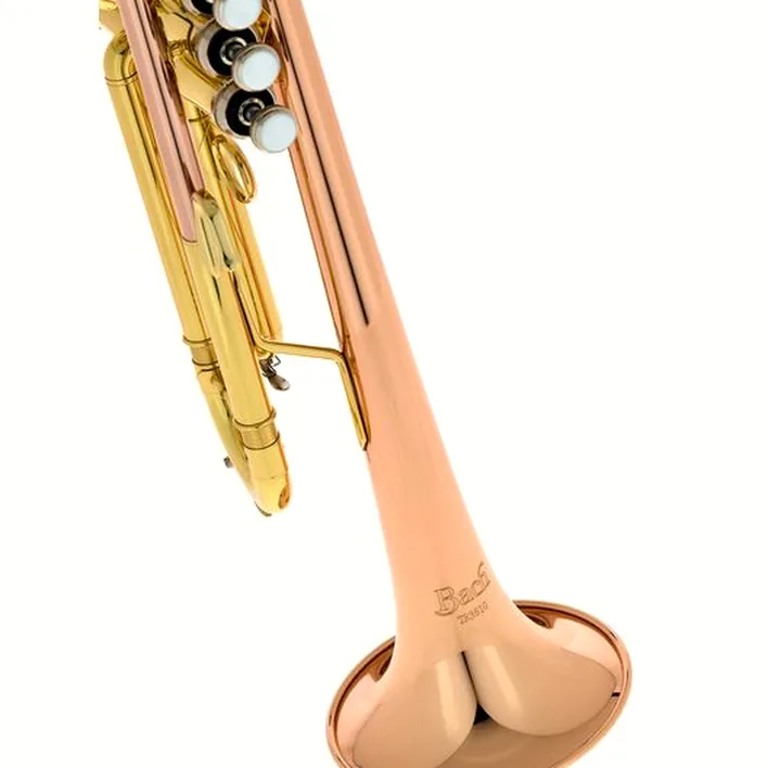La trompette Bach TR-351G Bb-Trumpet : Avis, Test & Comparatif