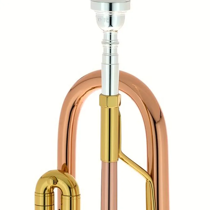La trompette Bach TR-351G Bb-Trumpet : Avis, Test & Comparatif