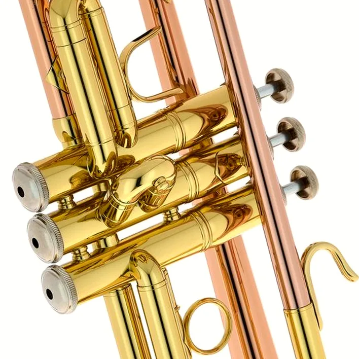 La trompette Bach TR-351G Bb-Trumpet : Avis, Test & Comparatif