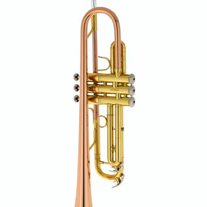 La trompette Bach TR-351G Bb-Trumpet : Avis, Test & Comparatif